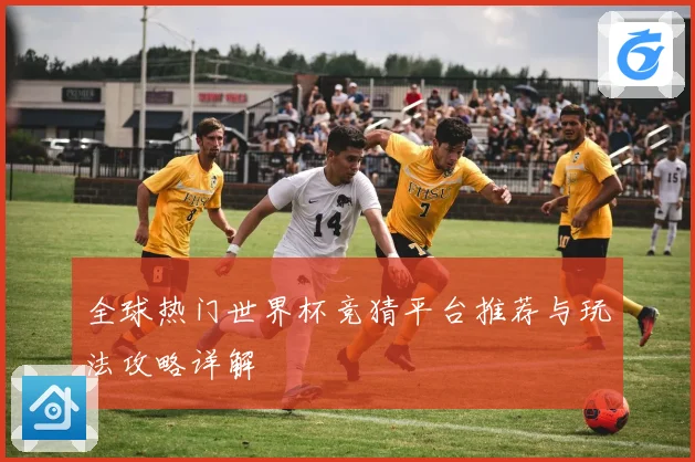 全球热门世界杯竞猜平台推荐与玩法攻略详解
