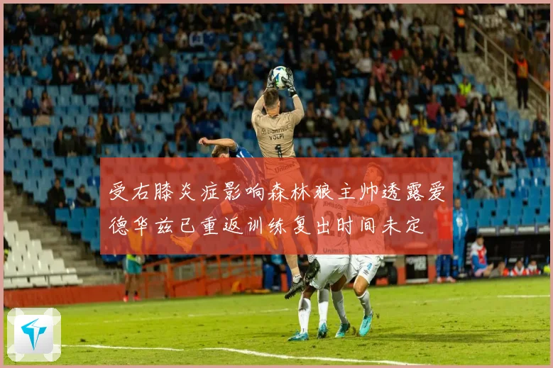 受右膝炎症影响森林狼主帅透露爱德华兹已重返训练复出时间未定